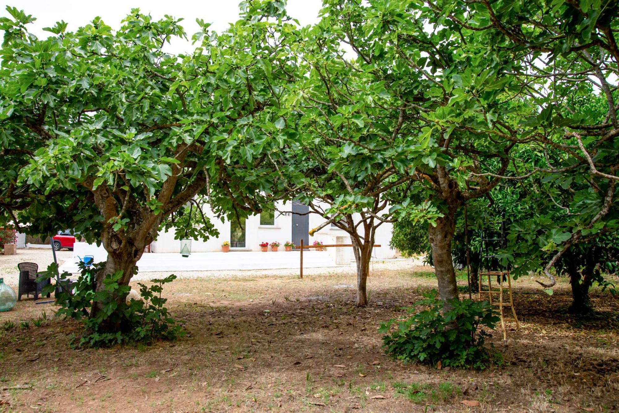 סנטה מריה לה פלמה Villa Del Lupo מראה חיצוני תמונה
