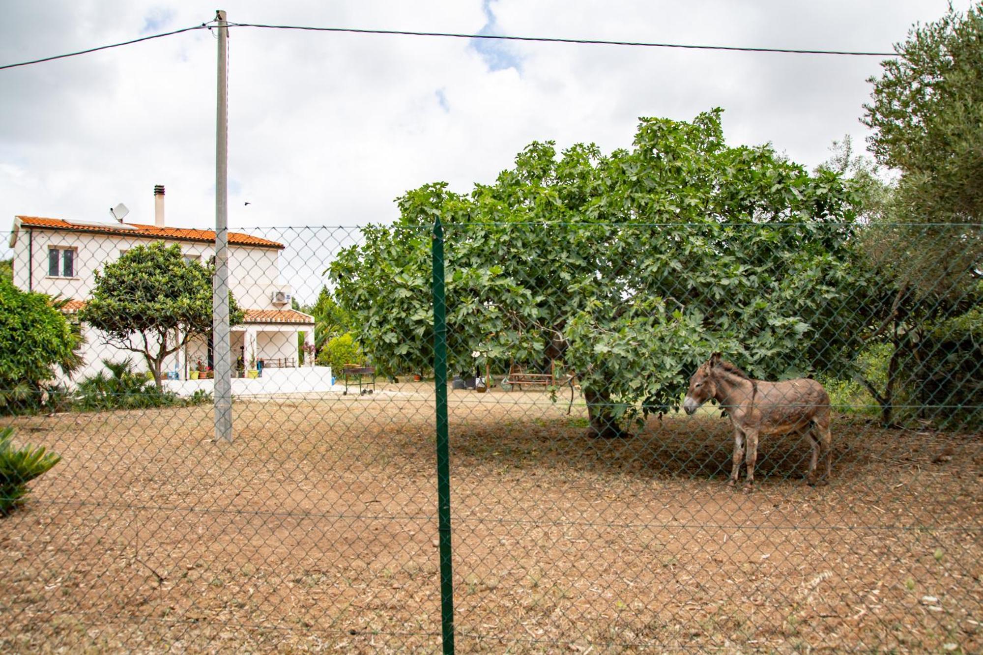 סנטה מריה לה פלמה Villa Del Lupo מראה חיצוני תמונה